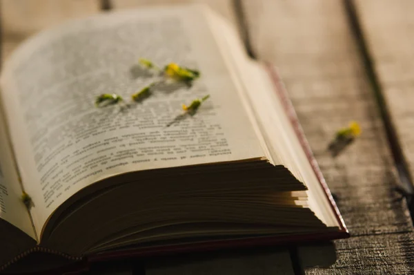 Libro spesso sdraiato aperto con fiori sparsi sulla parte superiore, bella impostazione della luce notturna, tiro concetto magico, sfondo di legno — Foto Stock