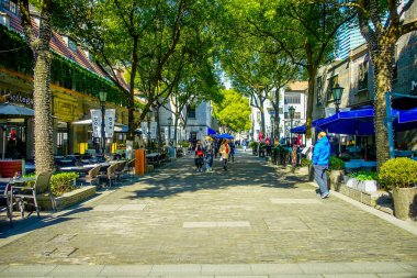 Shanghai, Çin - 29 Ocak, 2017: Fransız imtiyaz district Shanghai yürüyüş, şirin sokakları, mağazaları ve restoranları ile turistler için popüler hedef