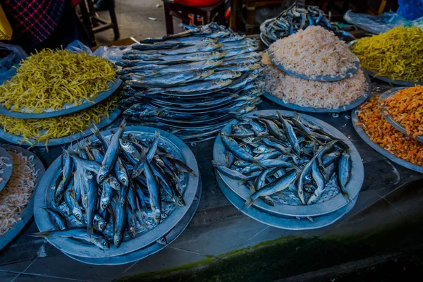 SHANGHAI, CHINA: Selection of sea food at fish market inside famous Zhouzhuang water town, ancient city district with channels and old buildings, charming popular tourist area — Stock Photo, Image