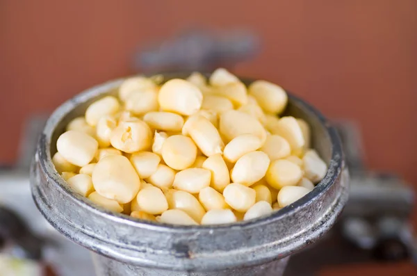 A close up from a metalic mill with some corn kernels — Stock Photo, Image