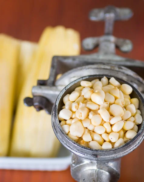 A close up from a metalic mill with some corn kernels — Stock Photo, Image