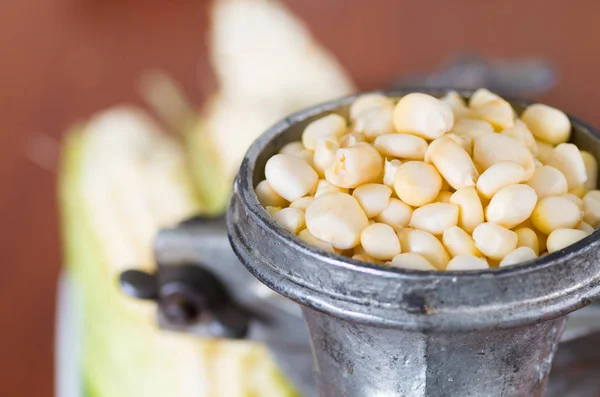 A close up from a metalic mill with some corn kernels — Stock Photo, Image