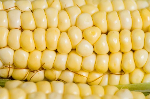 Żółty doskonałe bliska corncobs, które są używane do różnych potraw ekwadorski — Zdjęcie stockowe