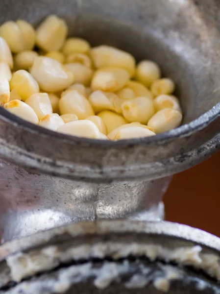 A close up of some kernels getting ready to be milled — Stock Photo, Image