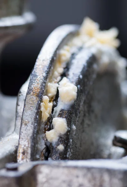 Corncobs birkaç öğütülmüş herhangi bir yemek hazırlamak hazır — Stok fotoğraf