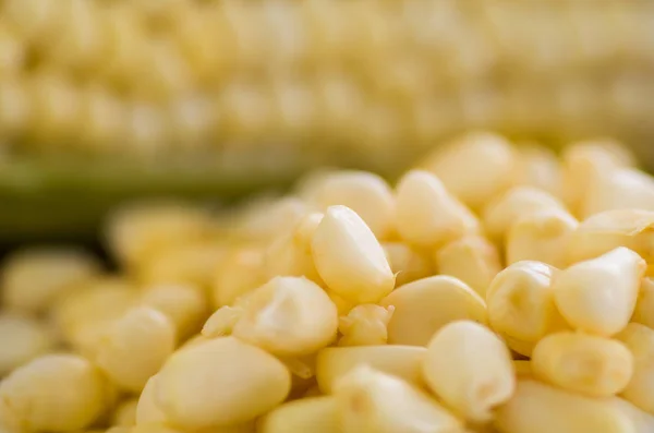 Alguns espigas de milho perfeitas e amarelas com um milho atrás — Fotografia de Stock