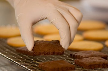 Izgara ekmek lezzetli taze çikolatalı kurabiyeler