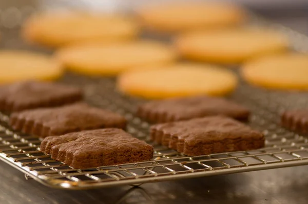 Deliciosos biscoitos de chocolate fresco em uma padaria grelhada — Fotografia de Stock