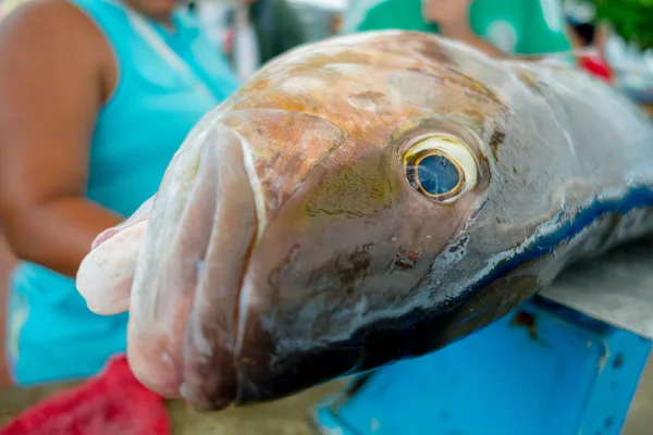 Frischer grauer Fisch auf dem Fischmarkt — Stockfoto