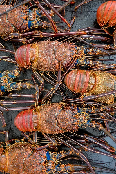 Grill garnaal en garnalen in een rij in een vismarkt — Stockfoto