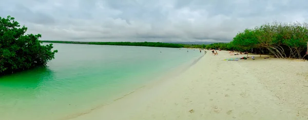 Hermosa playa de arena de Tortuga Bay en Santa Cruz, Islas Galápagos —  Fotos de Stock