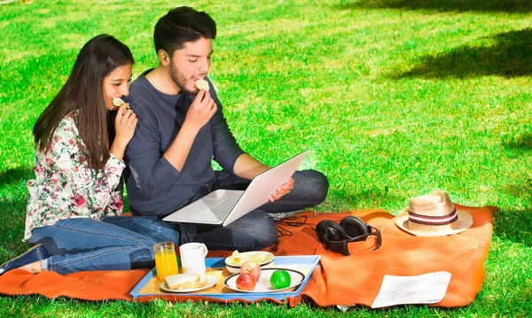 小两口的幸福享受在公园里野餐，吃薯片，当他们看东西在他的电脑 — 图库照片