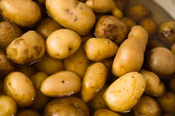 Fresh cooked potatoes on a pan, typical andean food — Stock Photo, Image