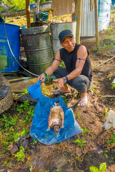 Öğle yemeği için bir armadillo kesim yerli Ekvador şaman adam — Stok fotoğraf