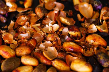 Kuru bir kakao çekirdekleri yakın çekim