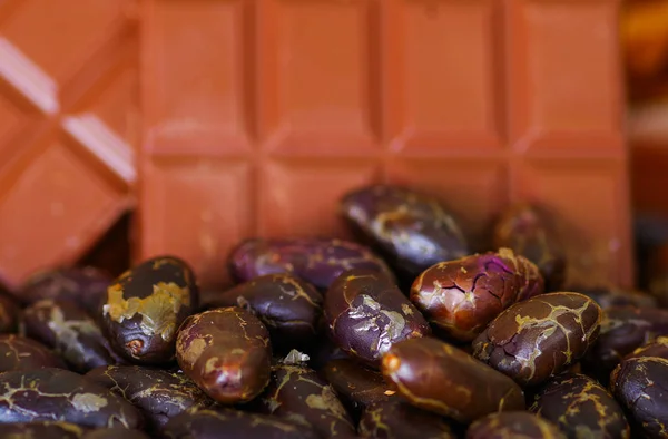 Primo piano di fagioli di cacao e tavoletta di cioccolata sul tavolo di legno naturale — Foto Stock