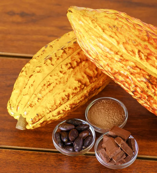 Primo piano di un baccello di cacao fresco: fave di cacao secco fondente, pezzi di cioccolato e cacao in polvere in ciotole di cristallo — Foto Stock