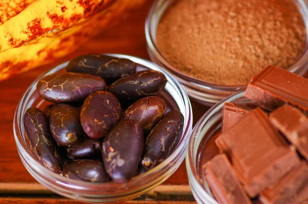 Primo piano di un fagiolo di cacao secco scuro, pezzi di cioccolato e cacao in polvere in ciotole di cristallo — Foto Stock