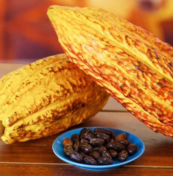 Primer plano de una vaina de cacao fresco y frijoles dentro de un tazón de plástico azul sobre un fondo de madera —  Fotos de Stock