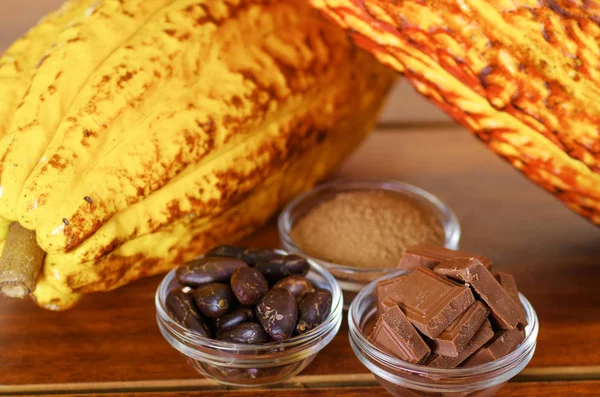 Närbild av en färsk kakao pods: mörka torr kakaobönan, bitar av choklad och pulvriserad kakao i kristall skålar — Stockfoto