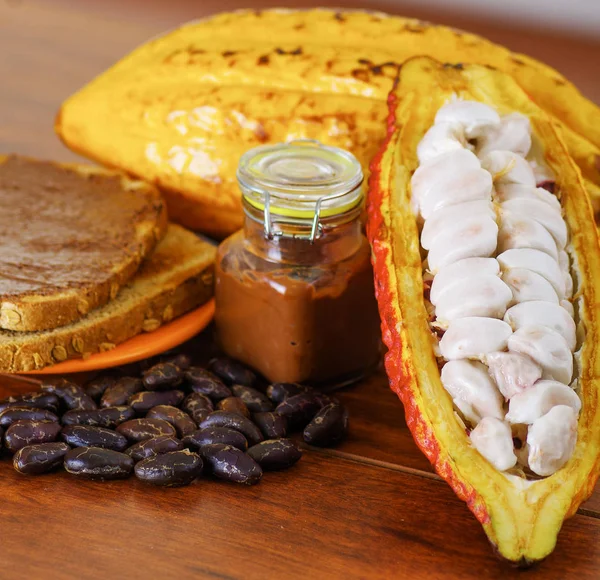 Свежие какао-стручки и бобы в какао-стручках и какао-сливки поверх куска хлеба — стоковое фото
