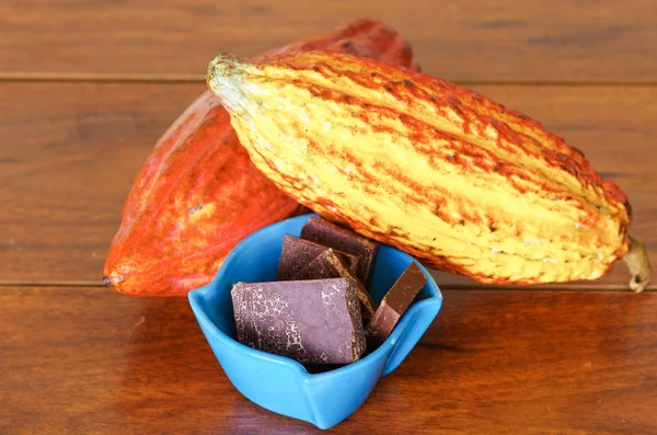Friss kakaó hüvely és a bab kakaó hüvelyben és a sötét száraz kakaó bab — Stock Fotó