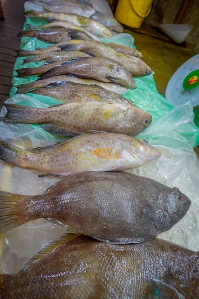 Nahaufnahme von Fisch auf dem Straßenmarkt, Kuala Lumpur — Stockfoto