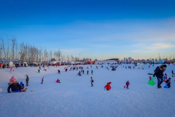 Harbin, China - 9 de febrero de 2017: Harbin International Ice and Snow Sculpture Festival es un festival anual de invierno que tiene lugar en Harbin. Es el festival de hielo y nieve más grande del mundo . — Foto de Stock