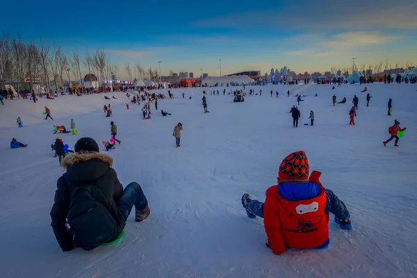 Harbin, China - 9 de febrero de 2017: Visitantes desconocidos se divierten en el Festival Internacional de Escultura de Hielo y Nieve de Harbin, el festival de hielo y nieve más grande del mundo . — Foto de Stock