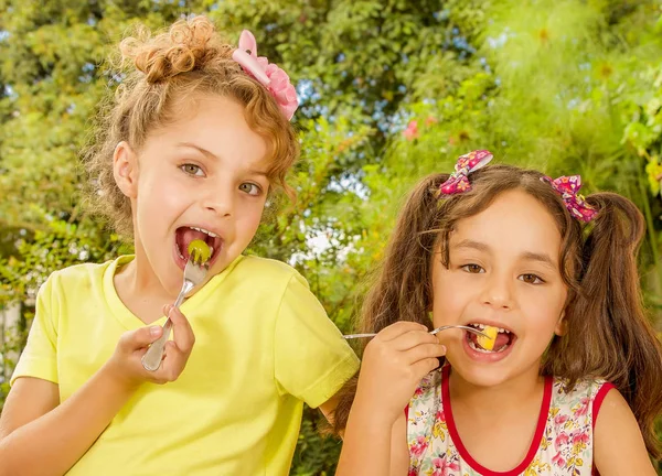 Twee mooie jonge meisjes, eten van een gezonde aardbei en druiven met behulp van een vork, in een tuin achtergrond — Stockfoto