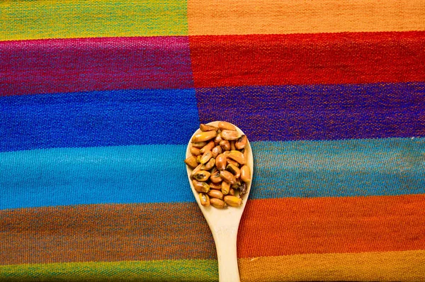 Wooden spoons with toasted corn grains, known as tostado in south america, spread around bowl containing yellow salsa, seen from above — Stock Photo, Image