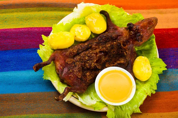 Traditional ecuadorian dish, grilled guinea pig spread out onto green plate, potatoes, tostados and lemons on the side, seen from above — Stock Photo, Image