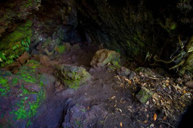 Rangitoto Adası, Yeni Zelanda'da volkanik oluşumlar yapılmış güzel karanlık mağaranın