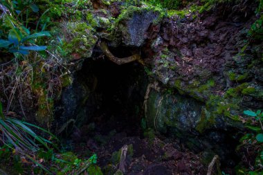 Rangitoto Adası, Yeni Zelanda'da volkanik oluşumlar yapılmış güzel karanlık mağaranın