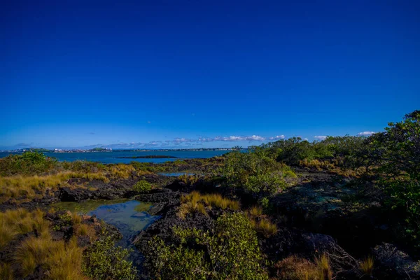 Bellissimo paesaggio nella vulcanica isola di Rangitoto ad Auckland, in una giornata di sole con un bel cielo blu — Foto Stock
