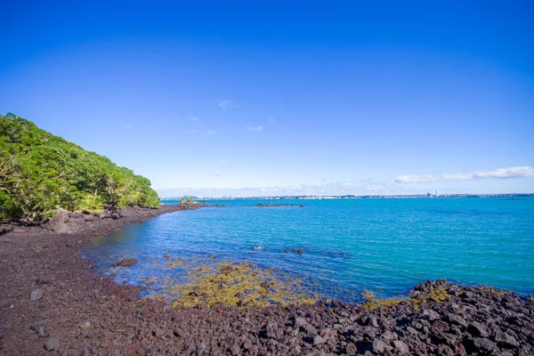 Pemandangan indah ke Pulau Rangitoto dari Pantai Karaka Bay Auckland Selandia Baru di langit biru di hari yang cerah — Stok Foto