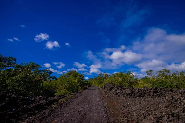 Strada rocciosa all'interno dell'isola di Rangitoto ad Auckland, in una giornata di sole con un bel cielo blu — Foto Stock