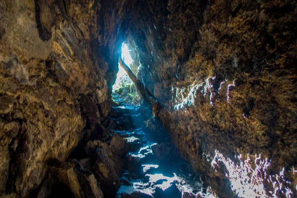 洞窟の上部にいくつかのルーツを持つニュージーランド火山岩の島、ランギトト島の美しい暗い洞窟します。 — ストック写真