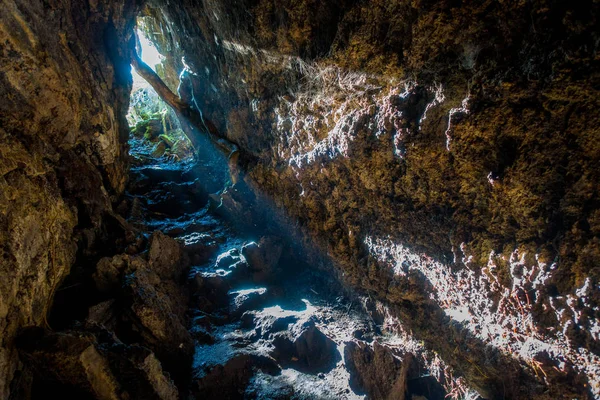 Mooie donkere grot in Rangitoto Island, gemaakt van vulkanische formaties in Nieuw-Zeeland met sommige wortels in het bovenste gedeelte van de grot — Stockfoto