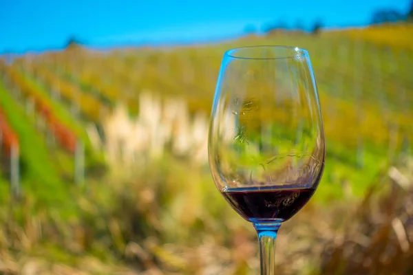 Coppa di vino rosso su sfondo vigneto in isola di Waiheke in Auckland, in un bel cielo blu in estate — Foto Stock