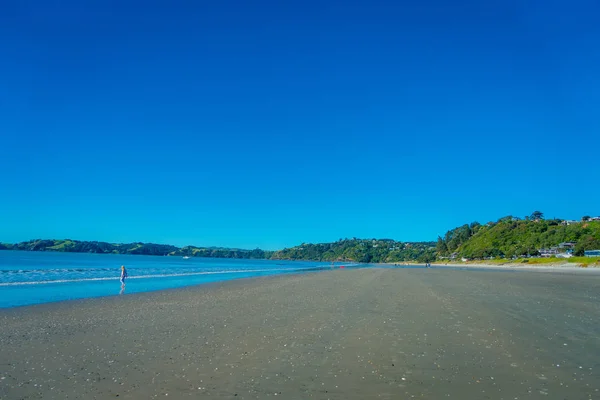 黑沙海滩上激流岛，新西兰与美丽的蓝天，在阳光明媚的日子 — 图库照片