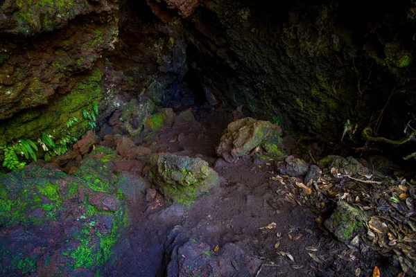 Piękne ciemne jaskini w Wyspa Rangitoto, wykonane z formacje wulkaniczne w Nowej Zelandii — Zdjęcie stockowe
