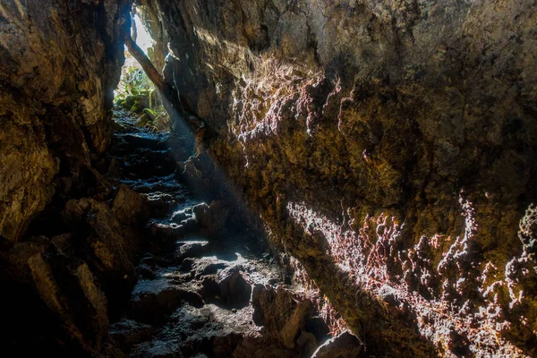 Όμορφη σκοτάδι σπηλιά στο Νησί Ρανγκιτότο, κατασκευασμένο από ηφαιστειογενές σχηματισμούς στη Νέα Ζηλανδία με κάποιες ρίζες στο πάνω μέρος του σπηλαίου — Φωτογραφία Αρχείου