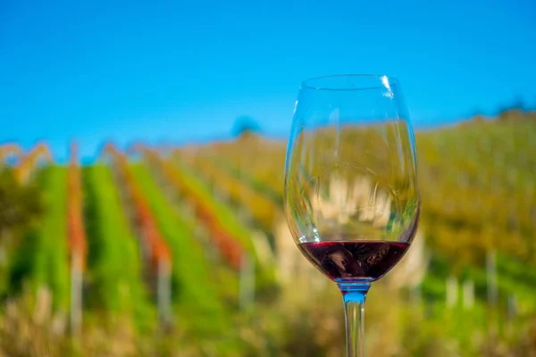 Coppa di vino rosso su sfondo vigneto in isola di Waiheke in Auckland, in un bel cielo blu in estate — Foto Stock