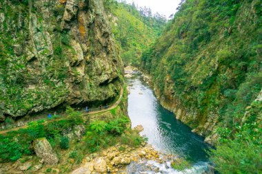 Kimliği belirsiz bir kişi doğal geçit Karangahake Gorge, yerli rainforest, Yeni Zelanda tarafından çevrili Karangahake gorge üzerinden akan nehir yürüyüş