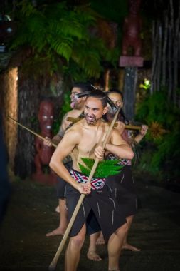 North Island, Yeni Zelanda - 17 Mayıs 2017: Maori erkeklerle Maori Tamaki kültür Köyü tahta bir sopa tutan bir geleneksel dans kültür, geleneksel elbise geleneksel olarak yüzüne dövmesi