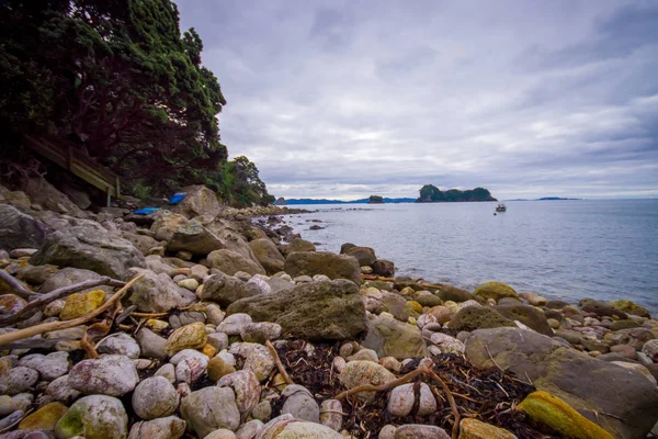 Vackra steniga stranden i cathedral Cove marina reservatet på halvön Coromandel i Nya Zeeland — Stockfoto