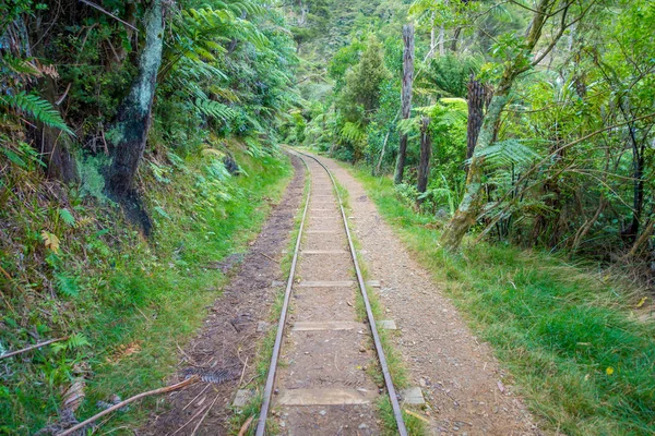 Roesten van overblijfselen van rails waar extractie trasnported was, omgeving van planten die groeien doorheen. Victoria gouden batterij Waikino, Nieuw-Zeeland — Stockfoto