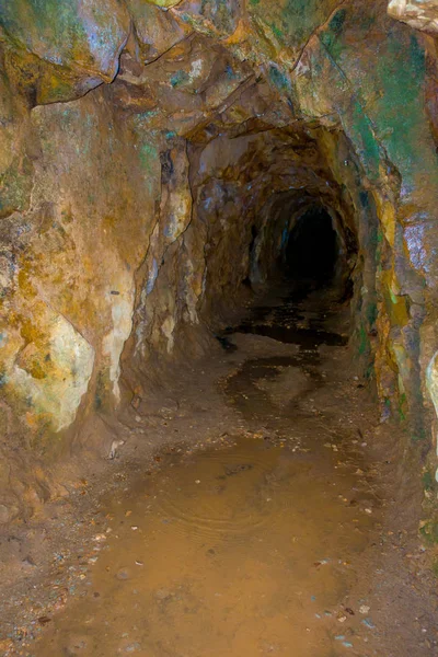 Historische spoorwegtunnel, een deel van een oude gold mine vervoersysteem gelegen op het Noordereiland in Nieuw-Zeeland — Stockfoto