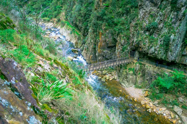 Persone non identificate che attraversano una bretella e camminano sulla passerella naturale Karangahake Gorge, fiume che scorre attraverso la gola di Karangahake circondato dalla foresta pluviale nativa, Nuova Zelanda — Foto Stock